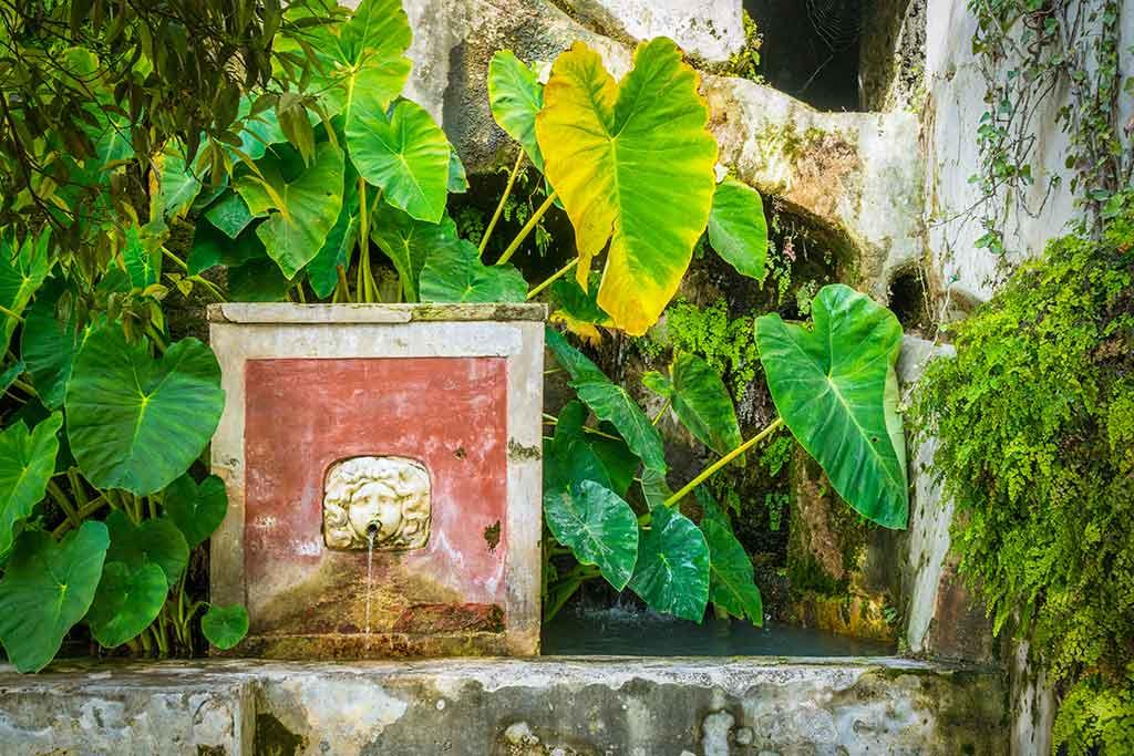 Giardino della Minerva