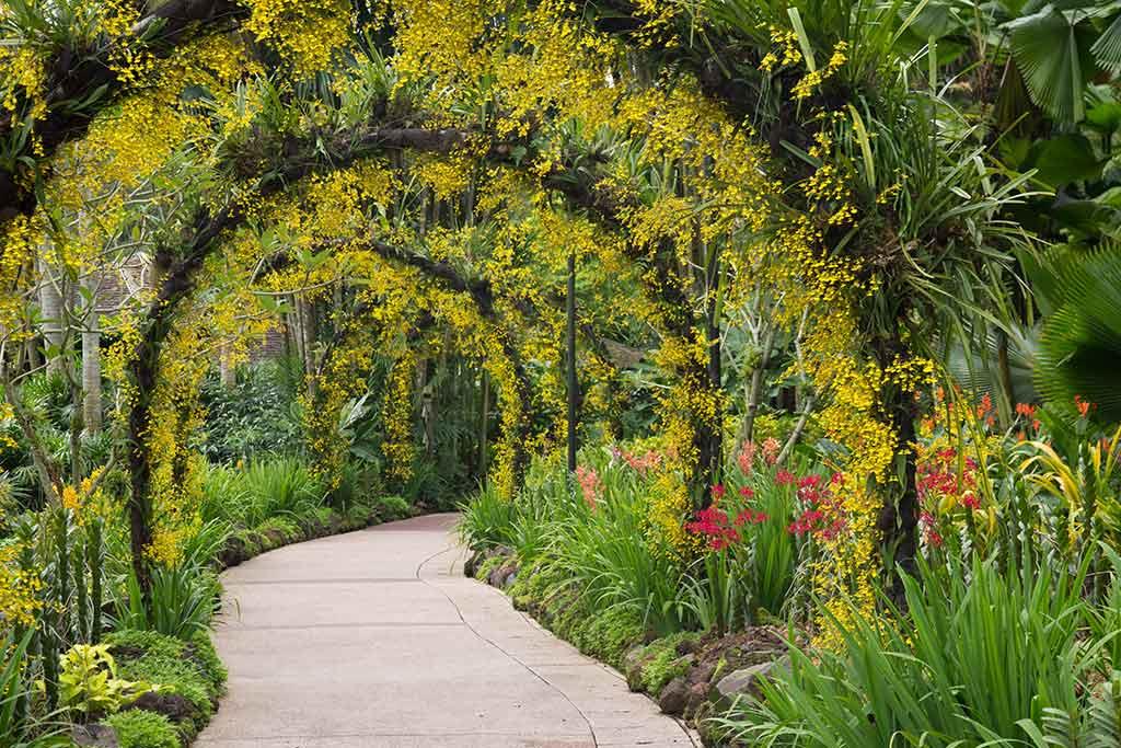 Giardino Orto-Botanico Santicelli