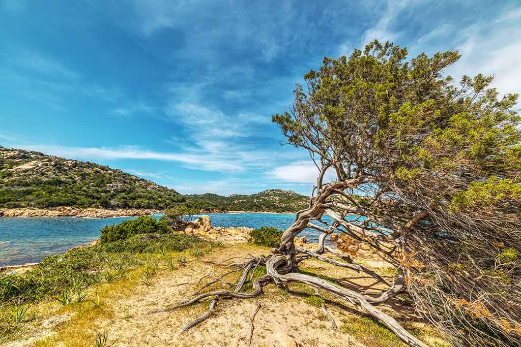 La spiaggia La Liccia
