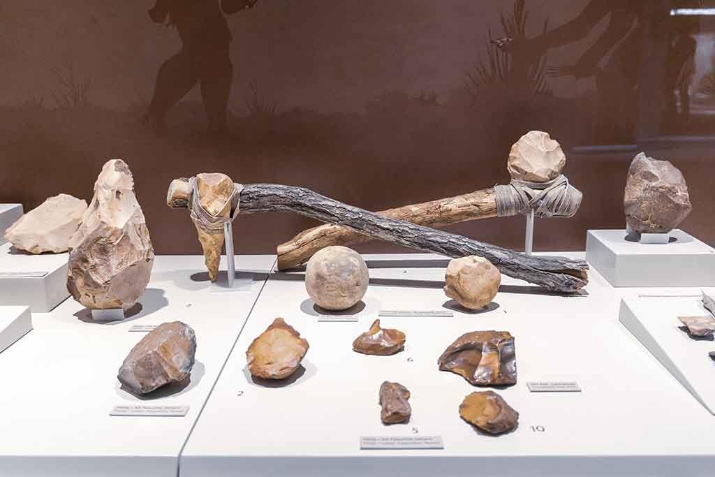Museo Civico Archeologico
