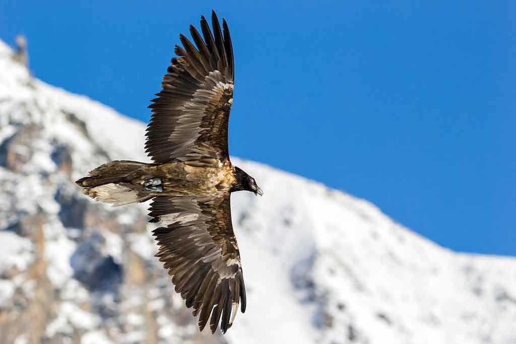 Museo Civico di Storia Naturale