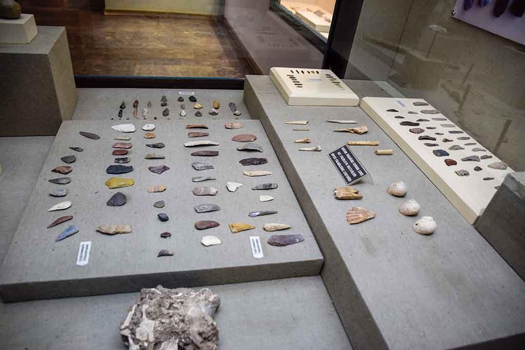Museo di Storia Naturale e Archeologia