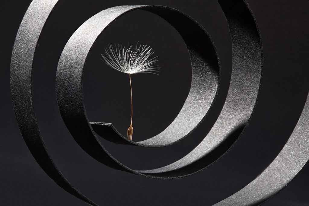 Museo Provinciale d'Arte Contemporanea
