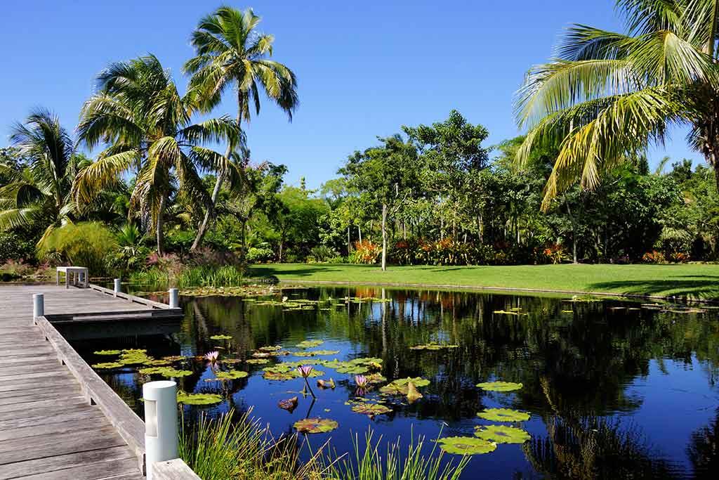 Orto Botanico Napoli