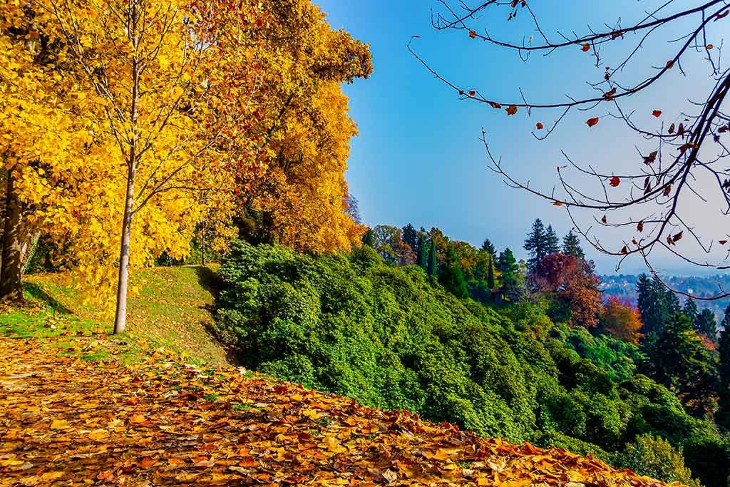 Parco della Burcina