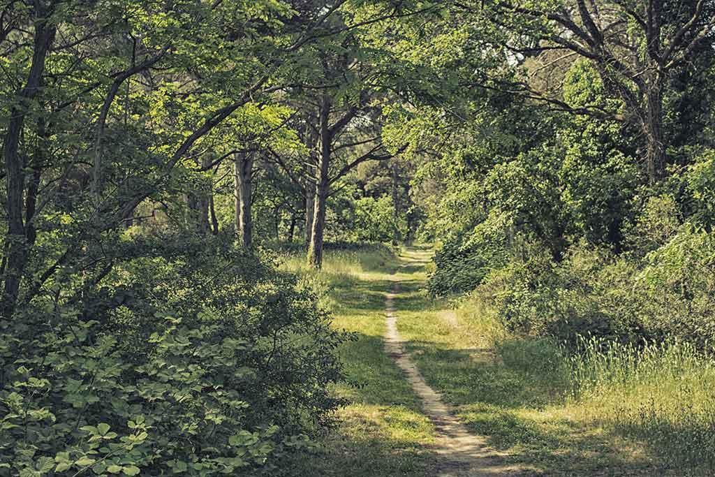 Parco della Pace