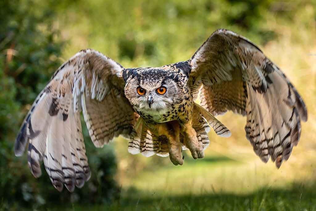 Parco Faunistico di Spormaggiore