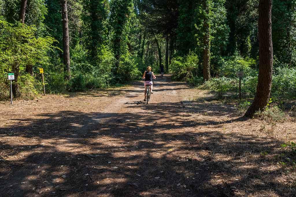 Parco Naturale di Cervia