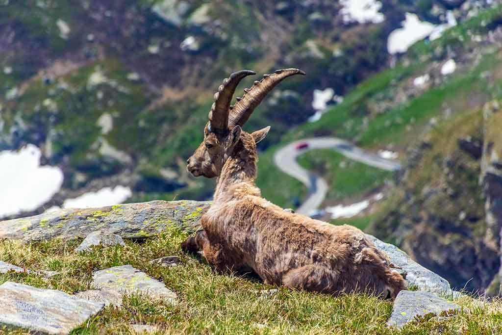 Parco Naturale Gran Bosco 