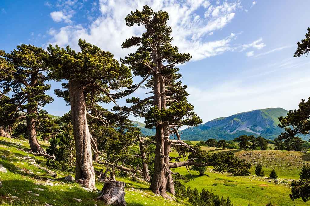 Parco Nazionale del Pollino