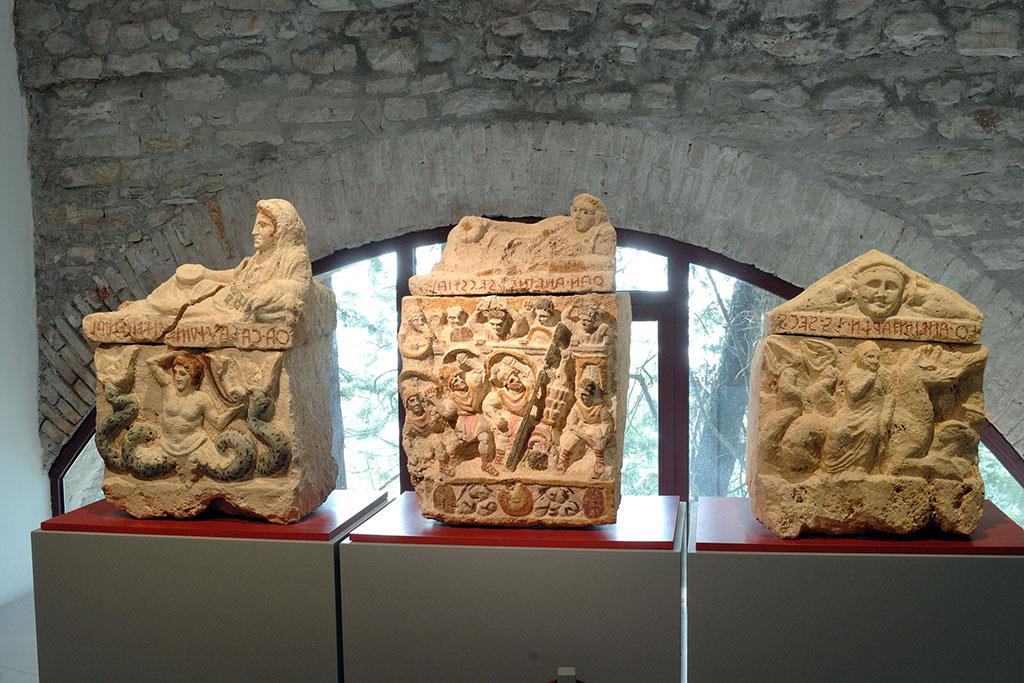 Raccolta Paleontologica