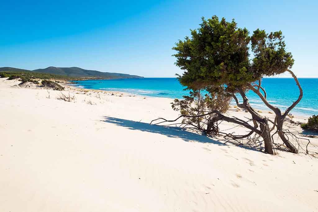 Spiaggia di Campionna