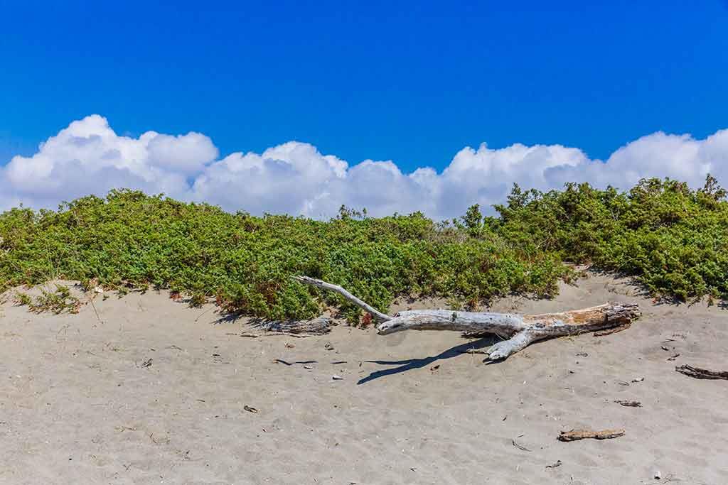 Spiaggia di Chiarone