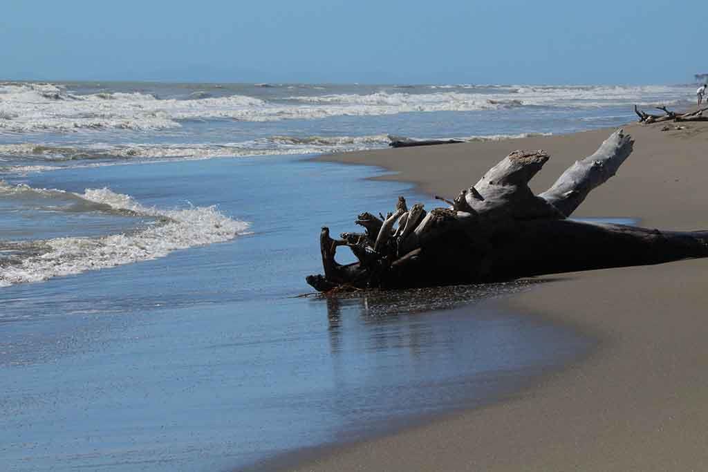 Spiaggia di Collelungo
