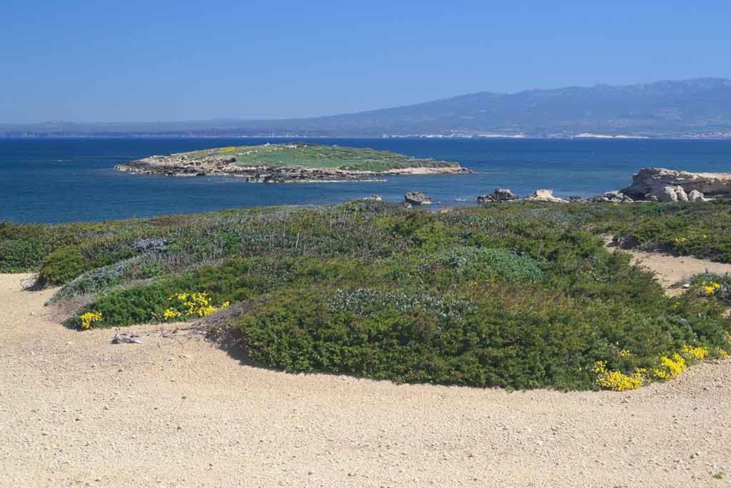 Spiaggia Su Pallosu