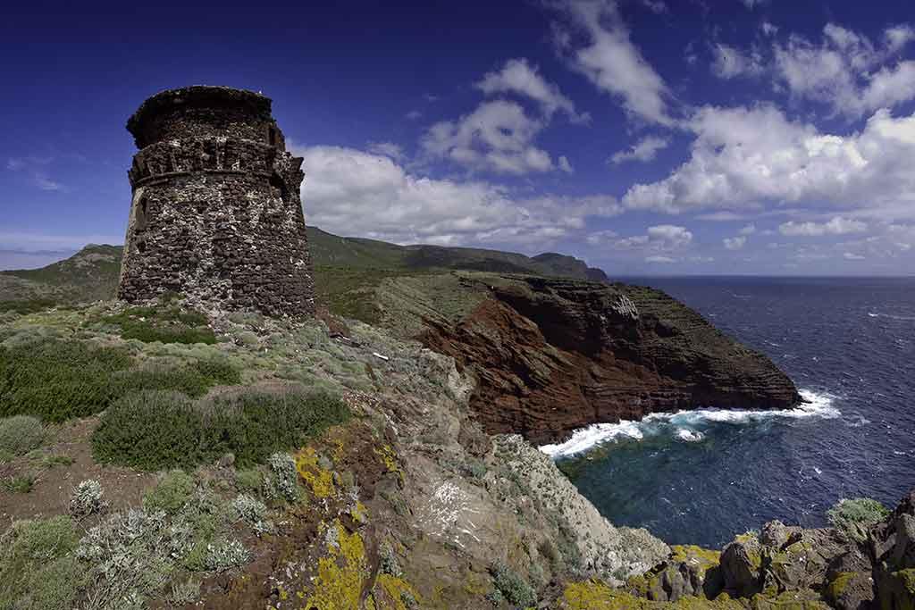 Torre Zenobito 