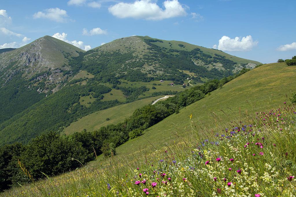 Valsorda