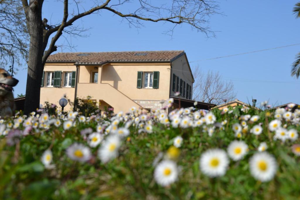 AGRITURISMO IL MANDORLO