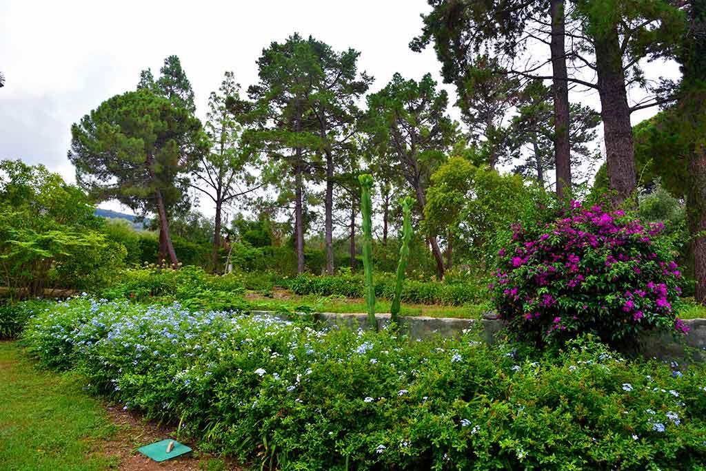 Orto Botanico Messina