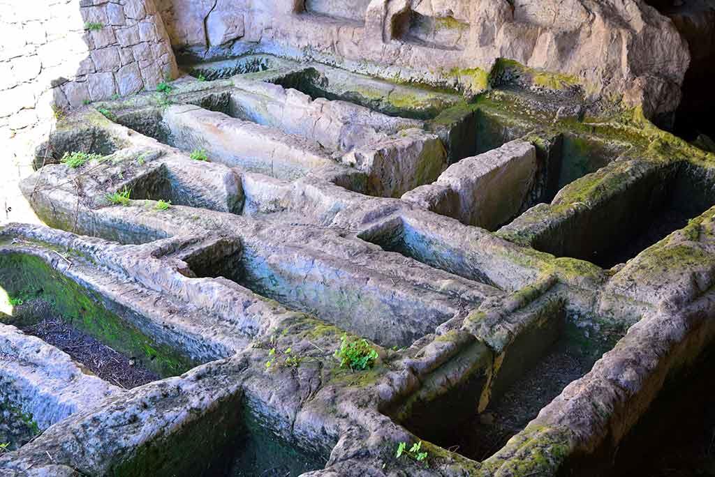 Parco archeologico della Forza