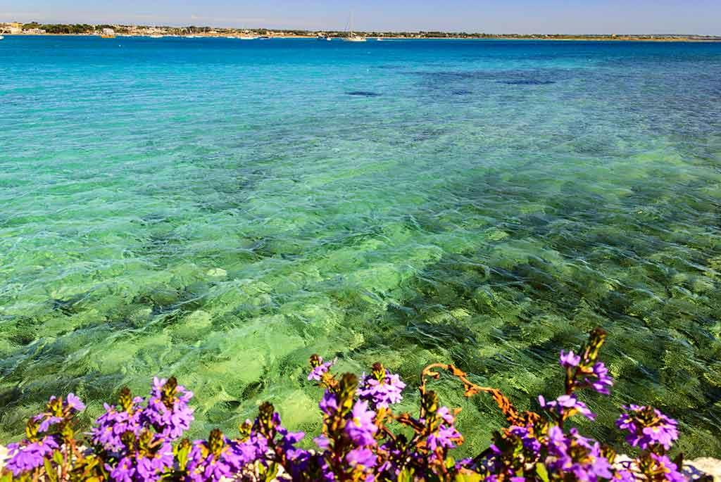 Area Marina Protetta