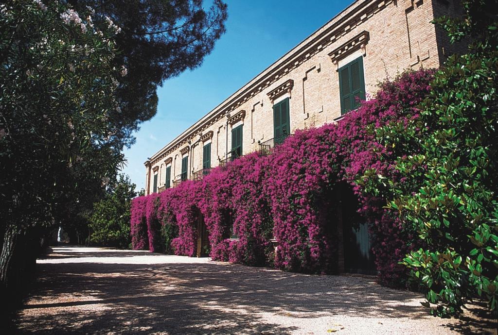 MASSERIA SAN TEODORO NUOVO