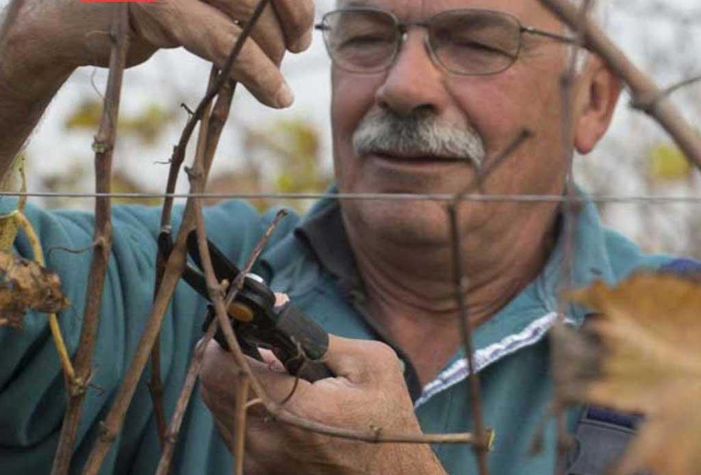 Azienda Vitivinicola Ornella Bellia