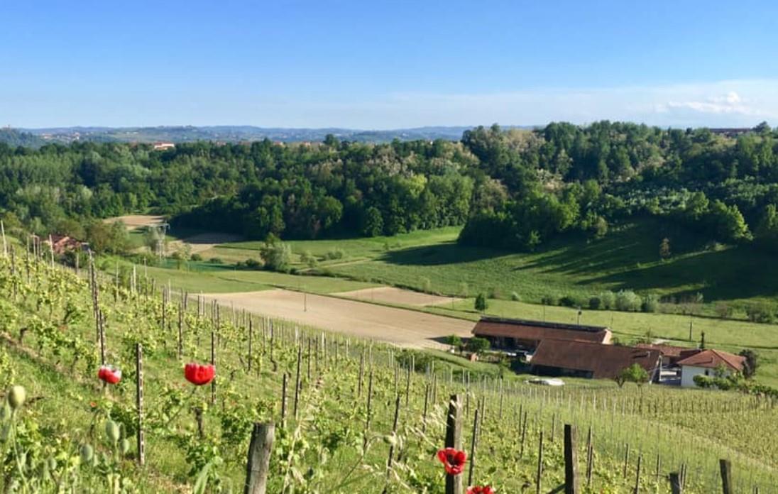 Vini Cascina Rey