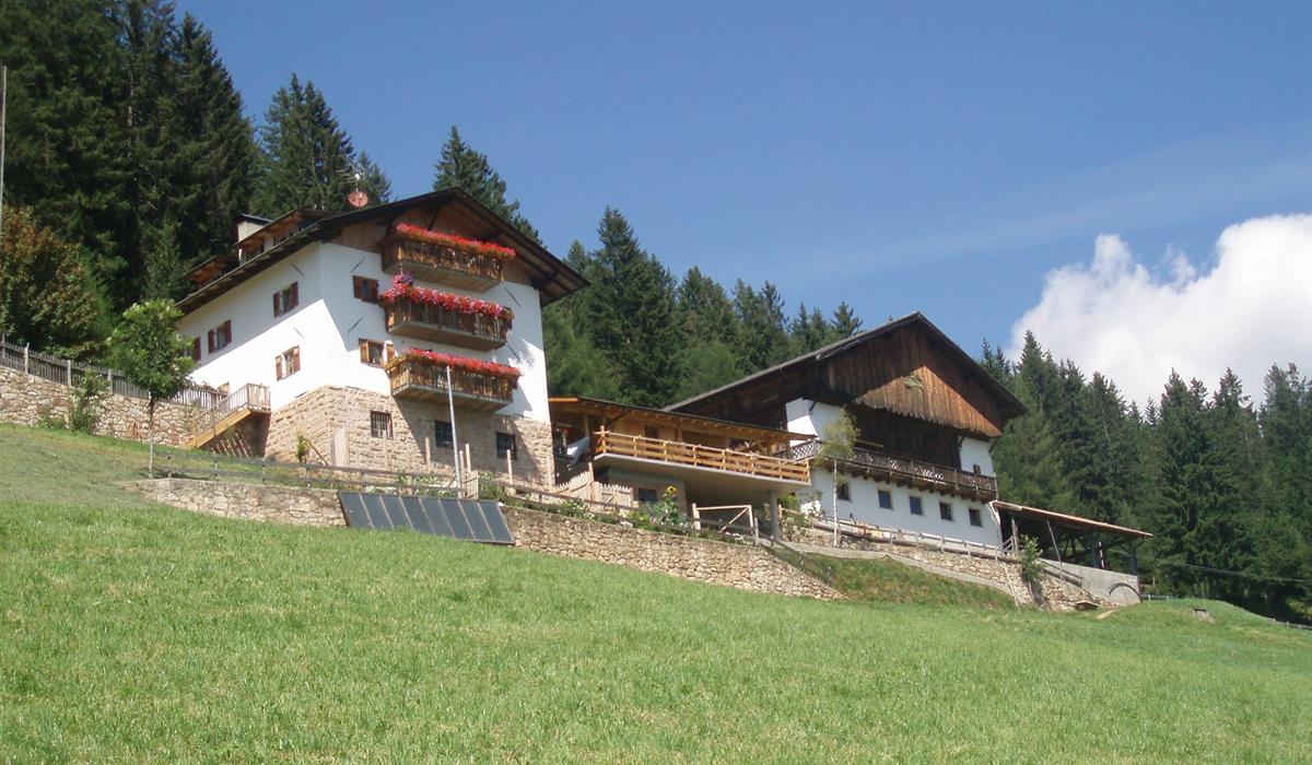 Maso Leitner