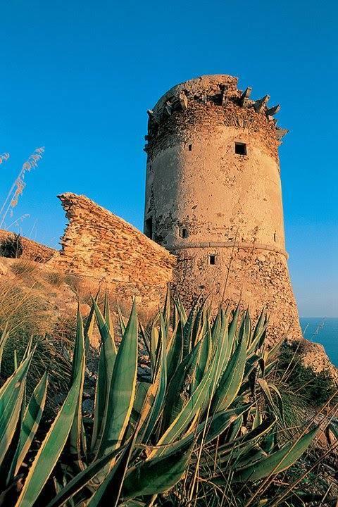 Torre Ciana