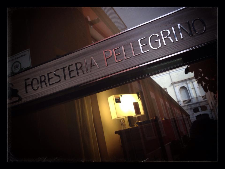 FORESTERIA PELLEGRINO