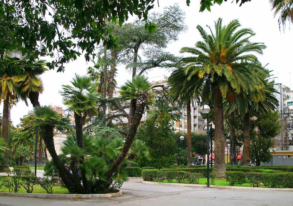 Orto Botanico Bari