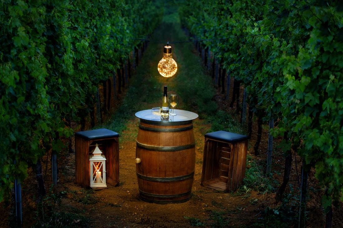 Azienda Vitivinicola Torri