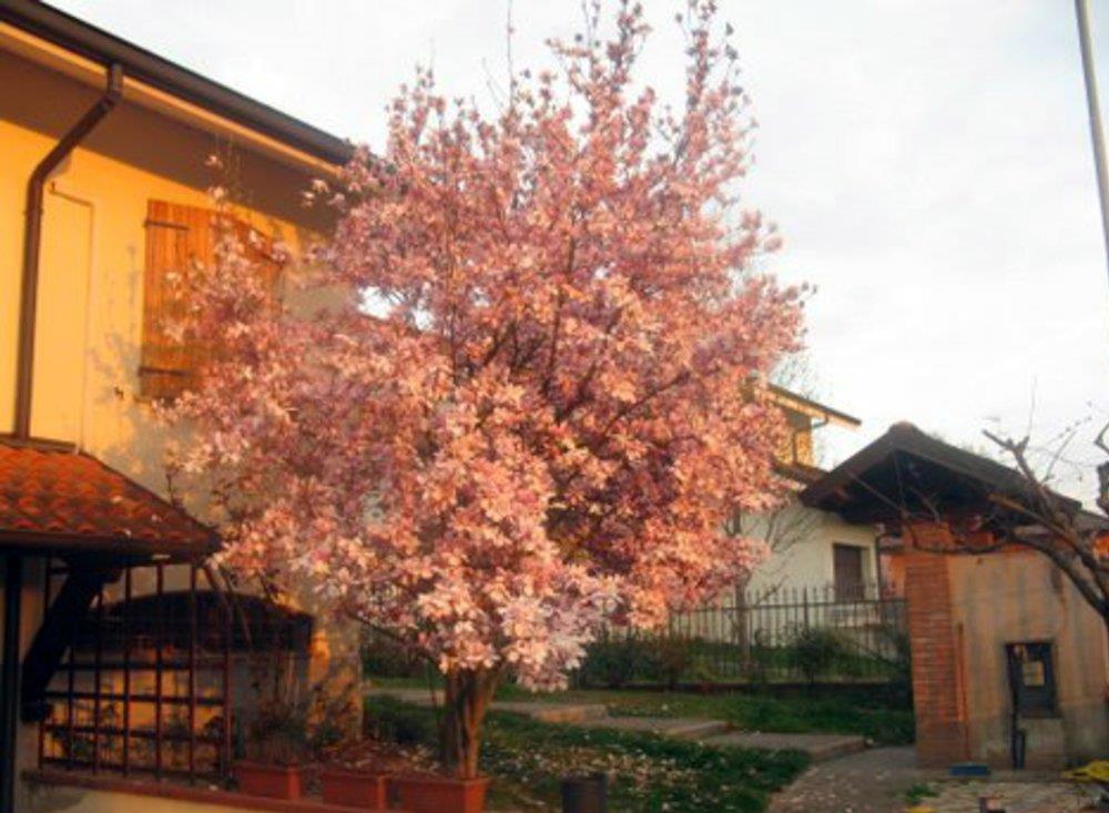 B&B MADAMA LELU'