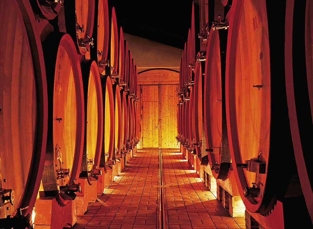 Tenuta Di Sesta Di Ciacci Giovanni