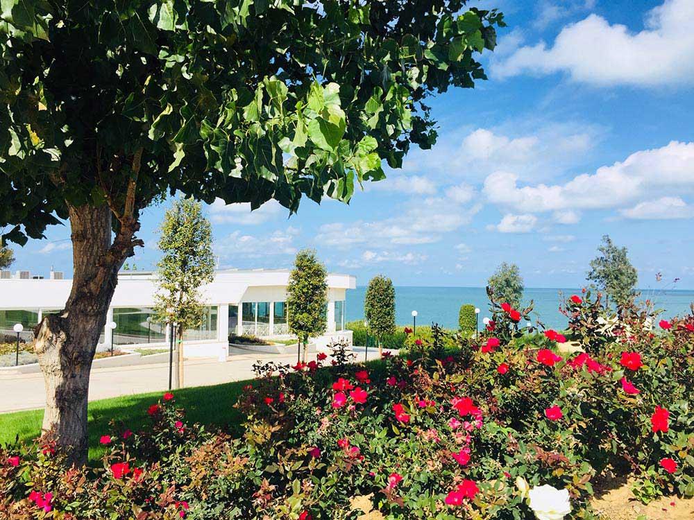 MIRAMARE