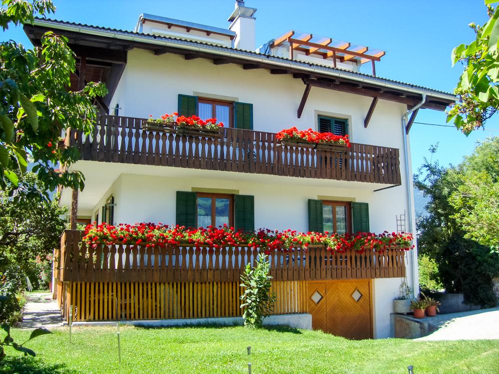 HAUS TRAUNER