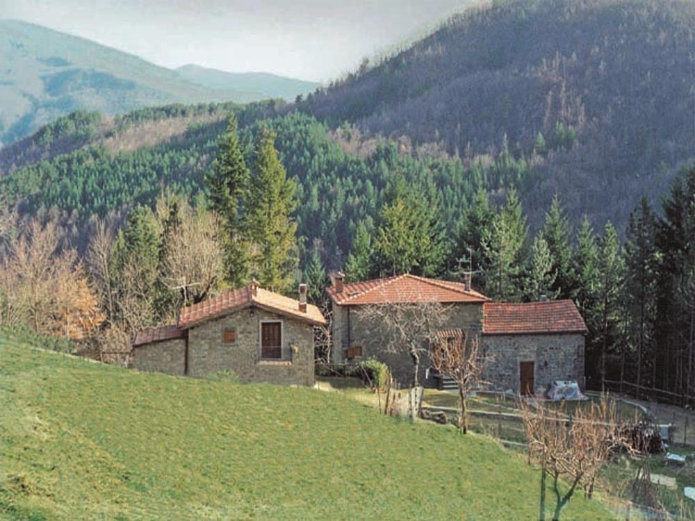 BIOAGRITURISMO CASALE CAMALDA