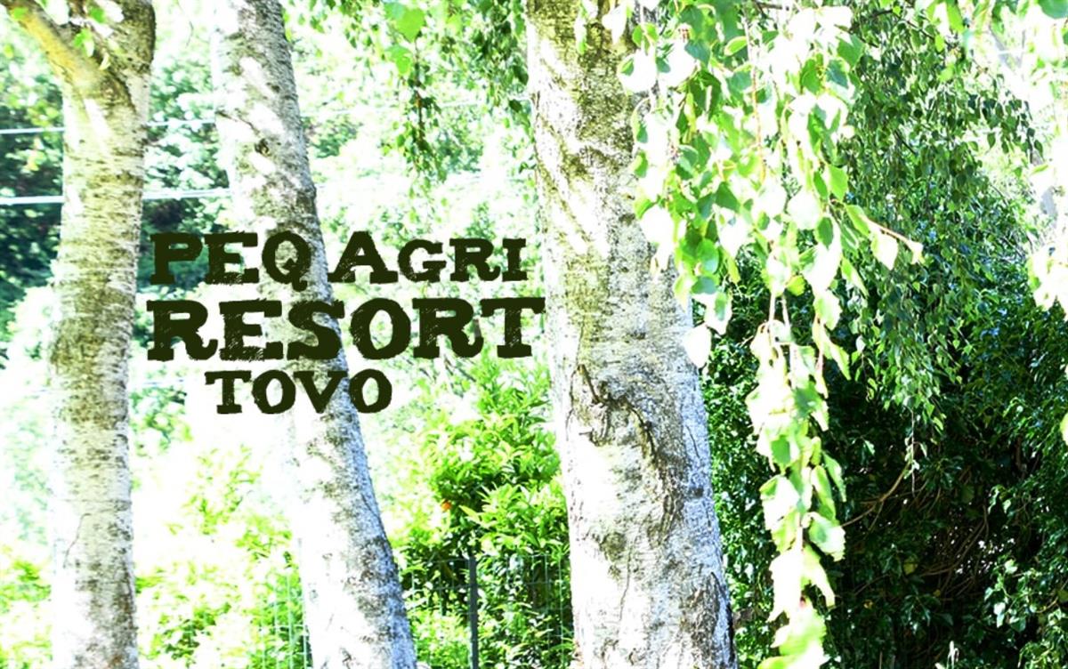 Società Agricola Lupi 