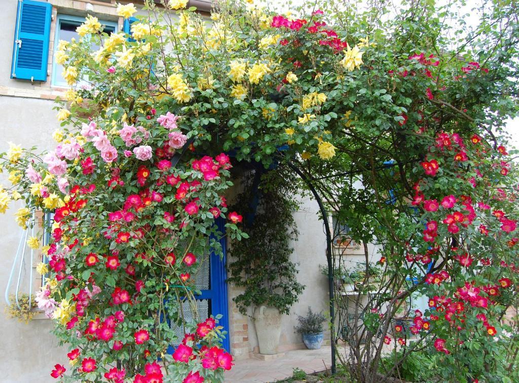 B&B Vento Di Rose