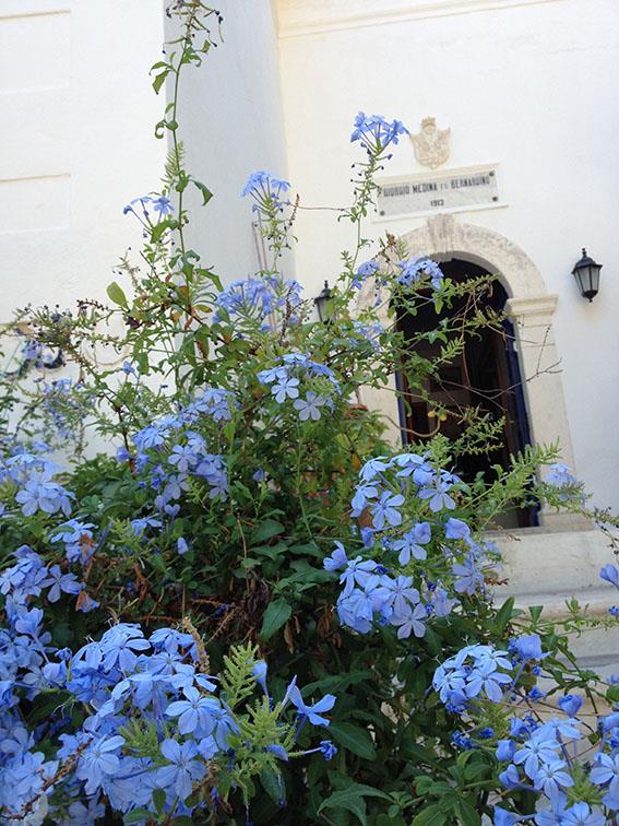 RESIDENCE SANT'ANDREA