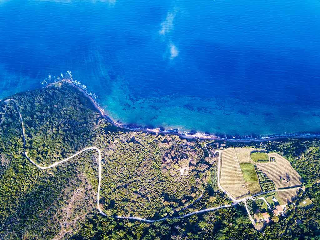 Spiaggia Punta Licosa