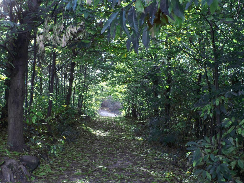 Parco Regionale dei Colli Euganei