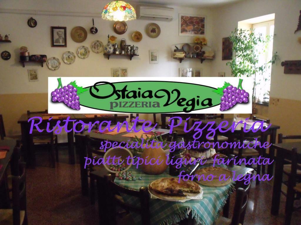 Ostaia Vegia