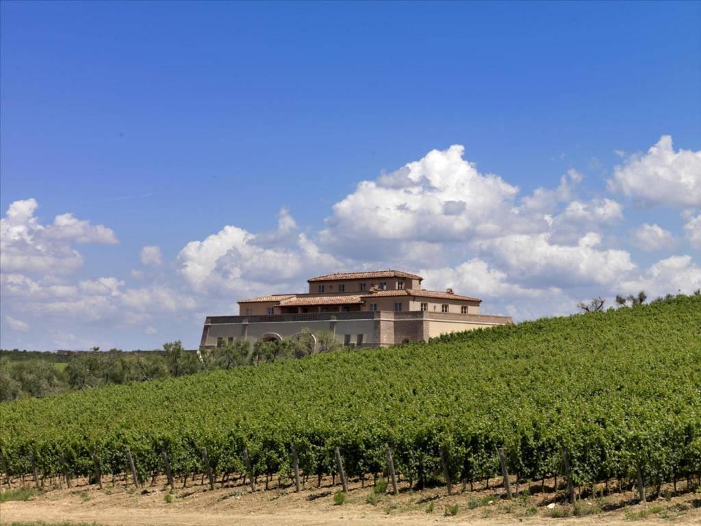 Tenuta Argentiera