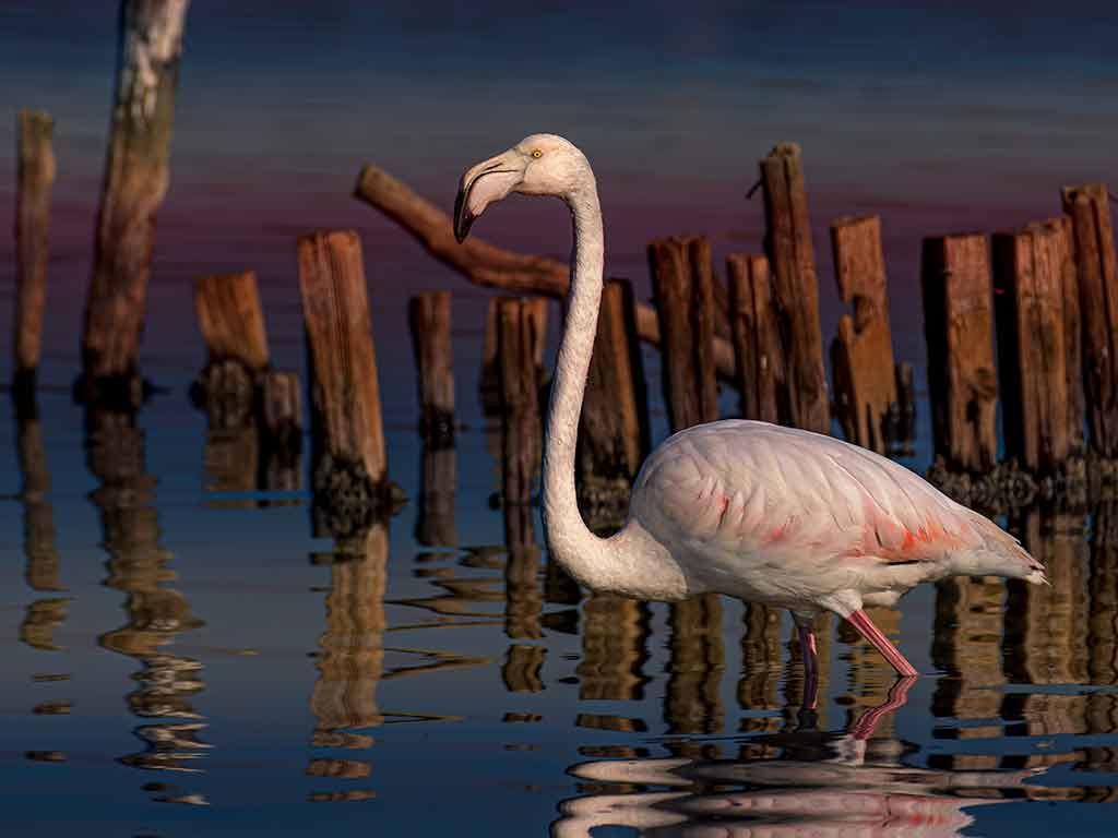  Lago di Burano
