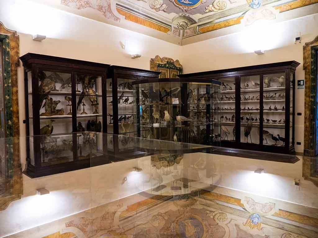 Musei Scientifici