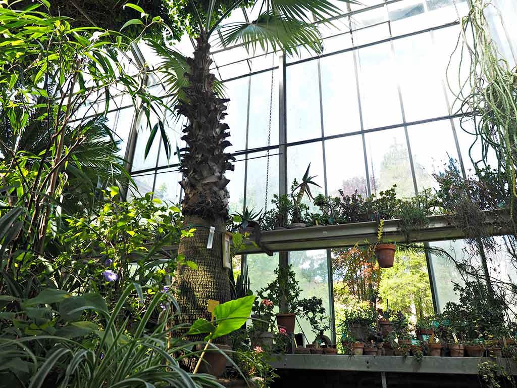 Orto botanico dell'Università di Ferrara