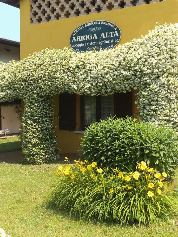 ARRIGA ALTA
