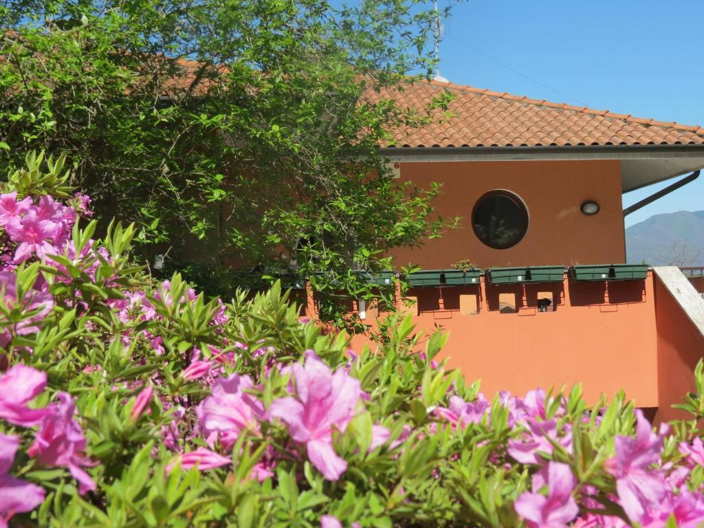 B&B Tana Della Volpe